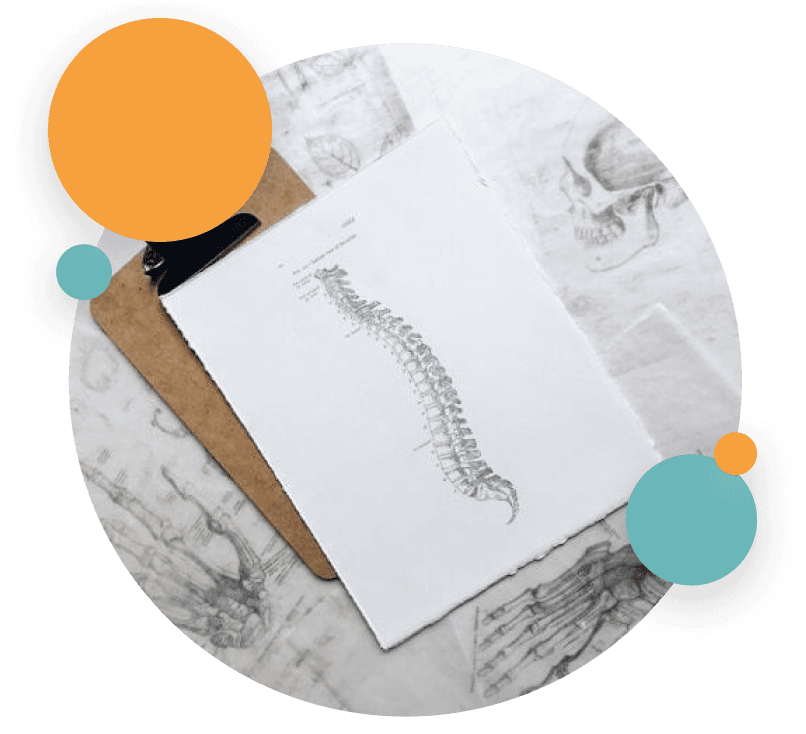 Menopause Bone Health