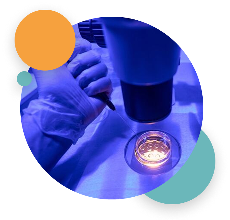 Assisted Fertility Guide